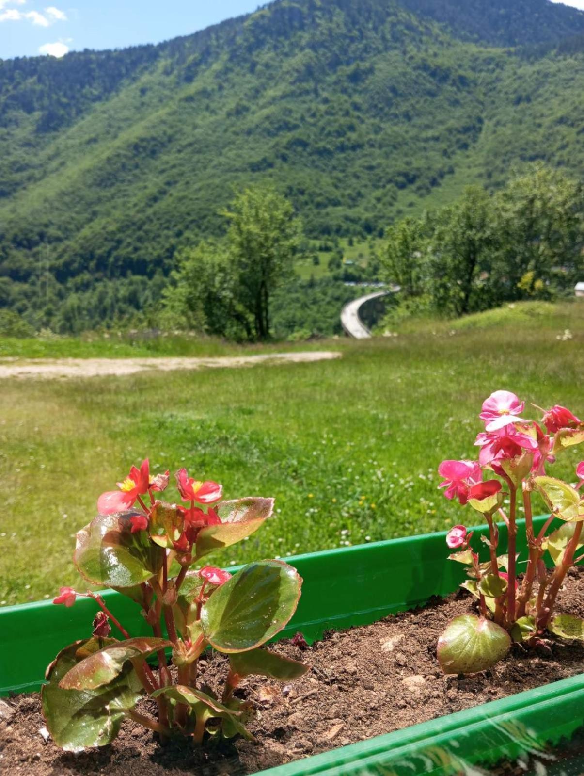 Hotel Family Owned Self Sufficient Eco Farm Tara Pljevlja Exteriér fotografie